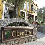 Olive Tree Studio (Adults Only)