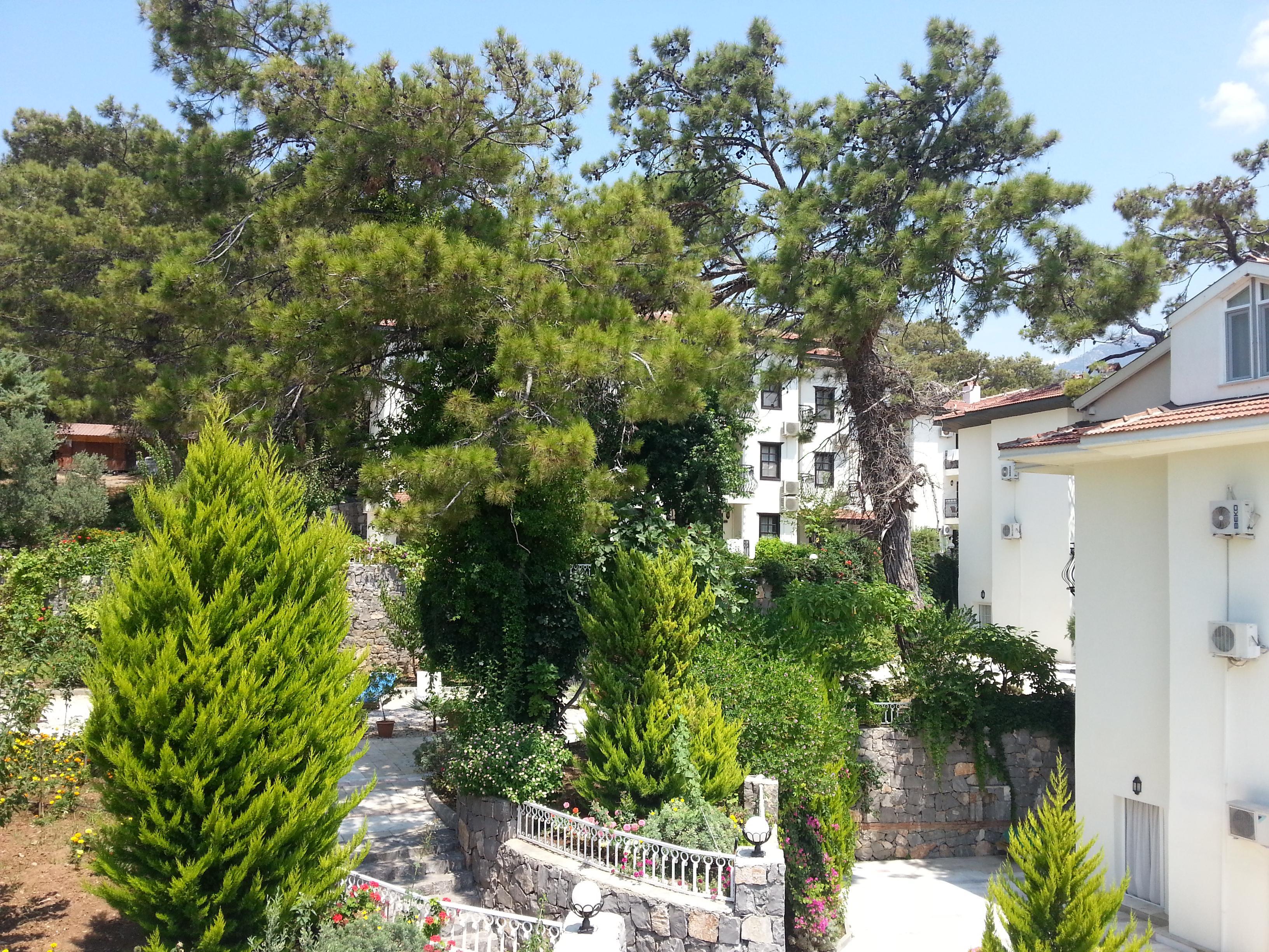Nicholas Park Oludeniz