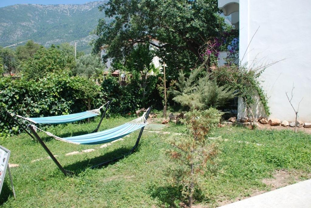 Ant Oludeniz