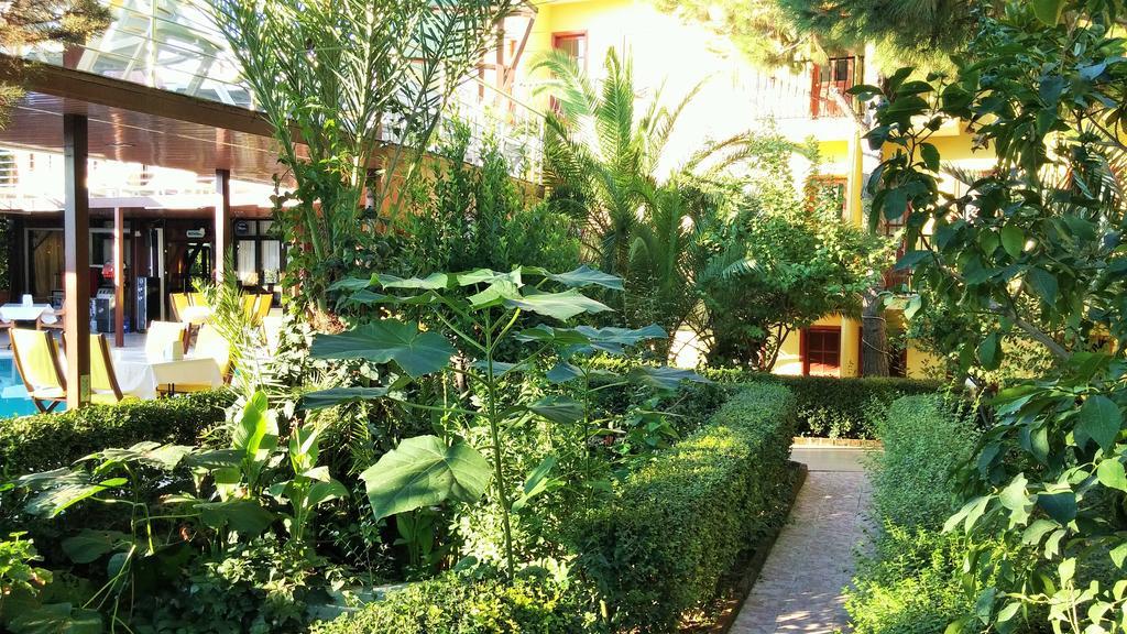 Hotel Ruya