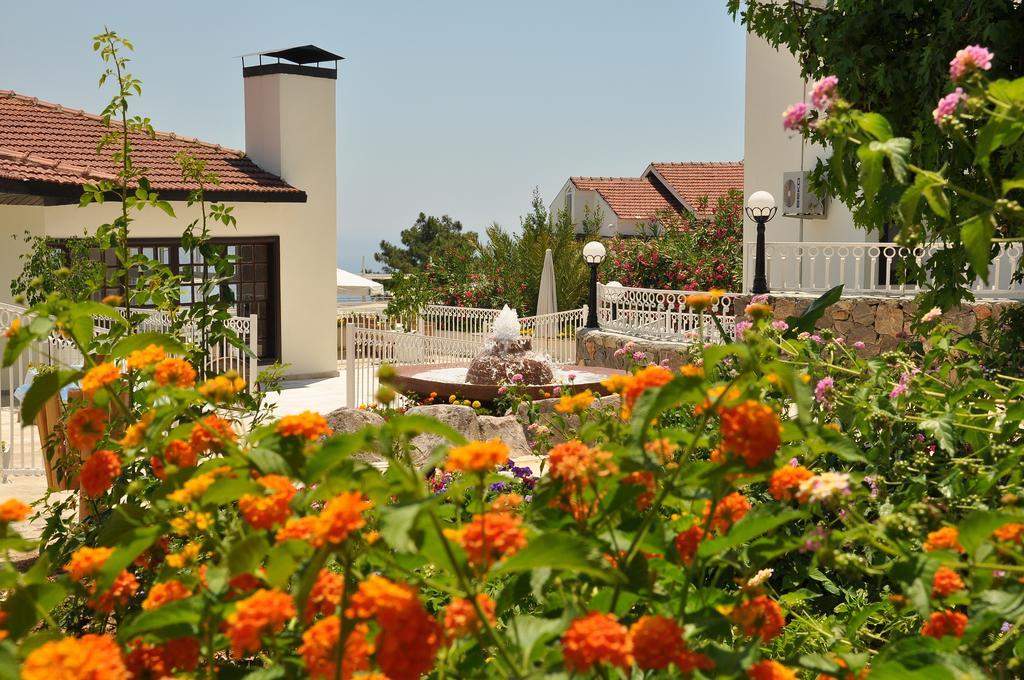 Hotel Nicholas Park