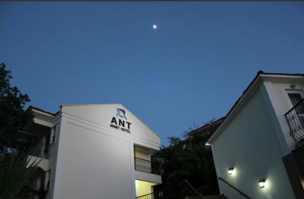 Ant