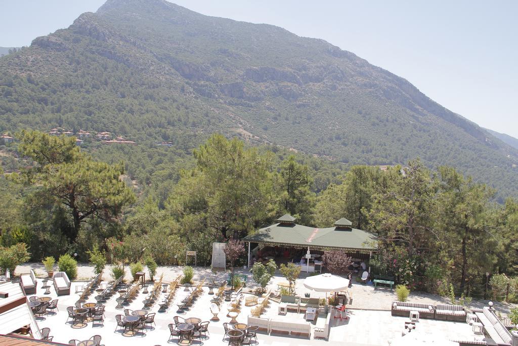 Hotel Nicholas Park 4*