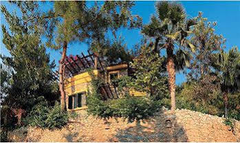 Noa Hotel Oludeniz