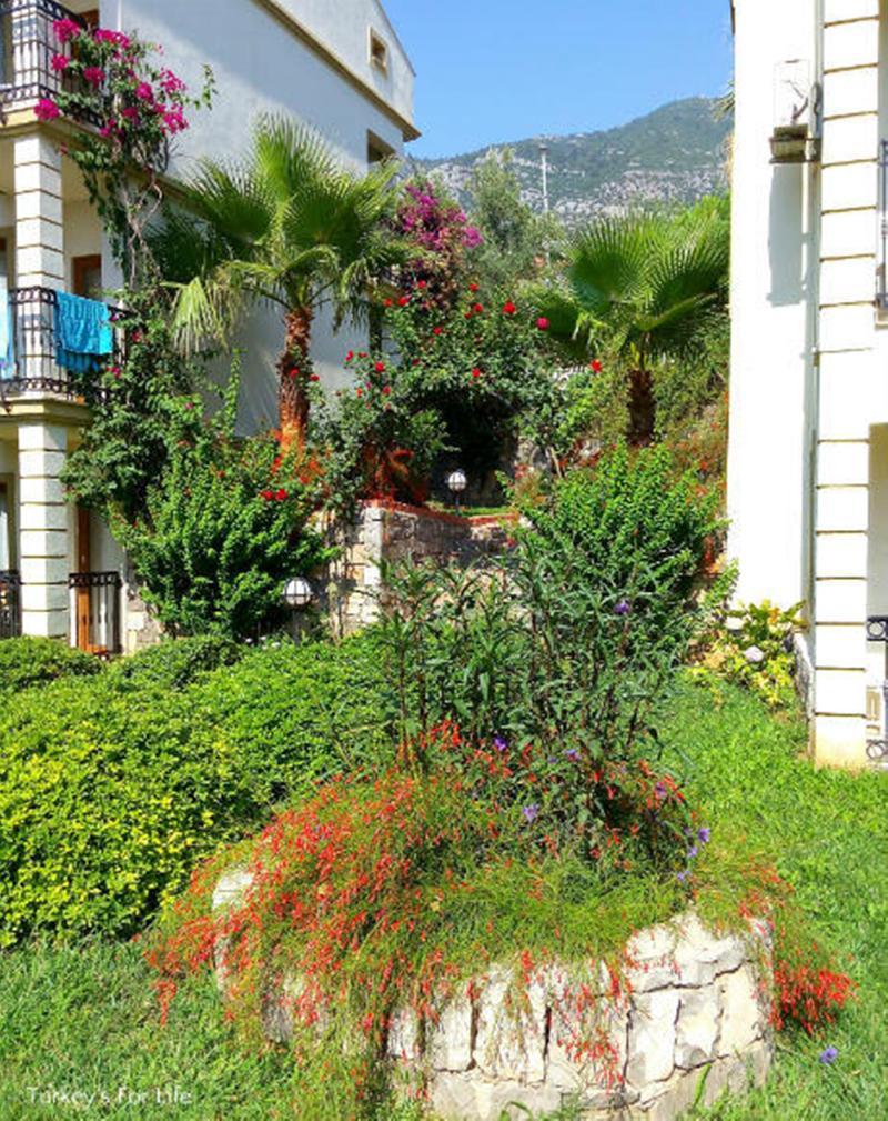 Leytur 3* Ölüdeniz