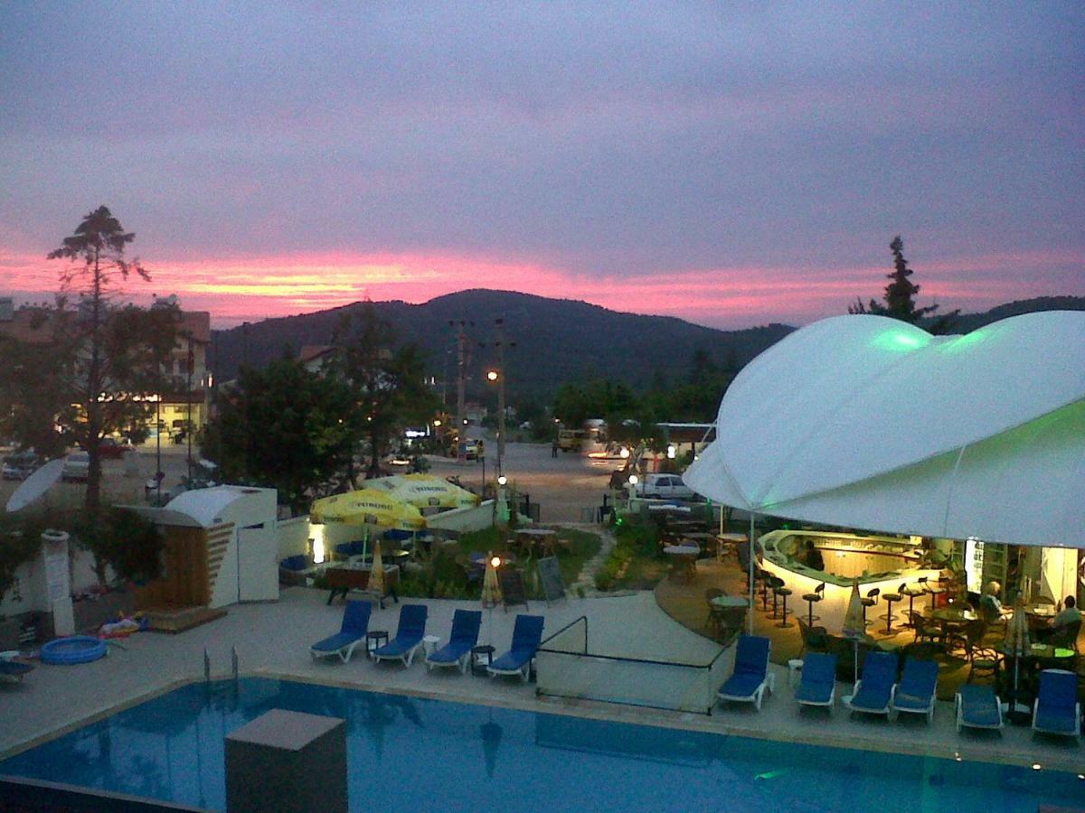 Hotel Ant
