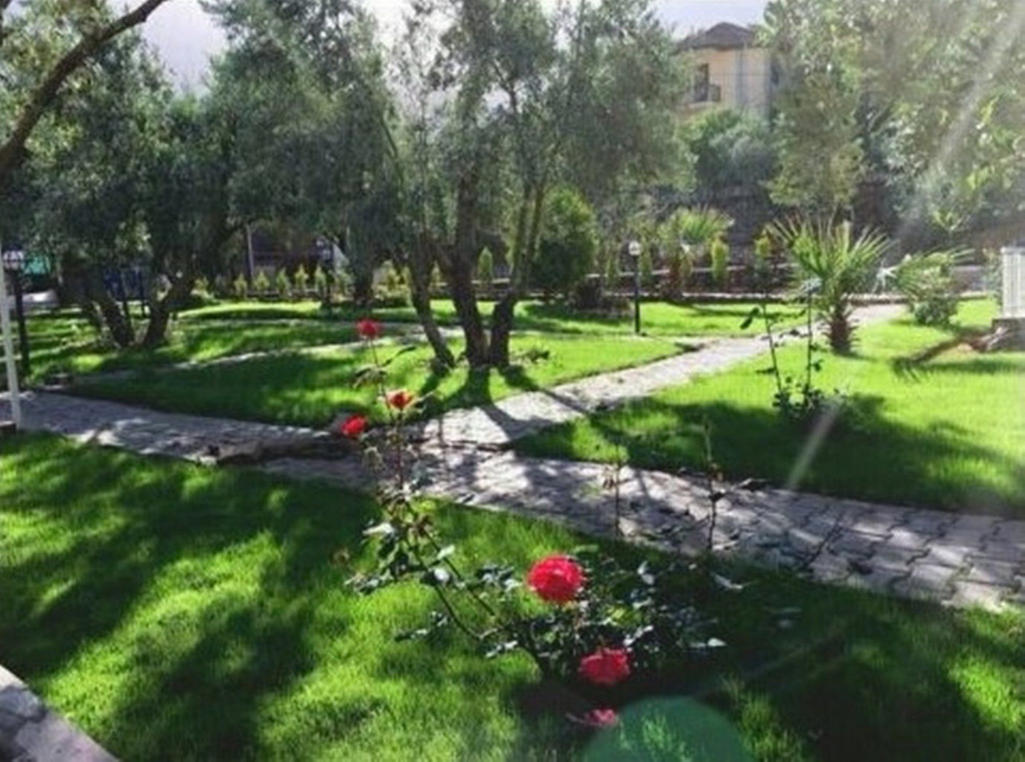 Hotel Doga