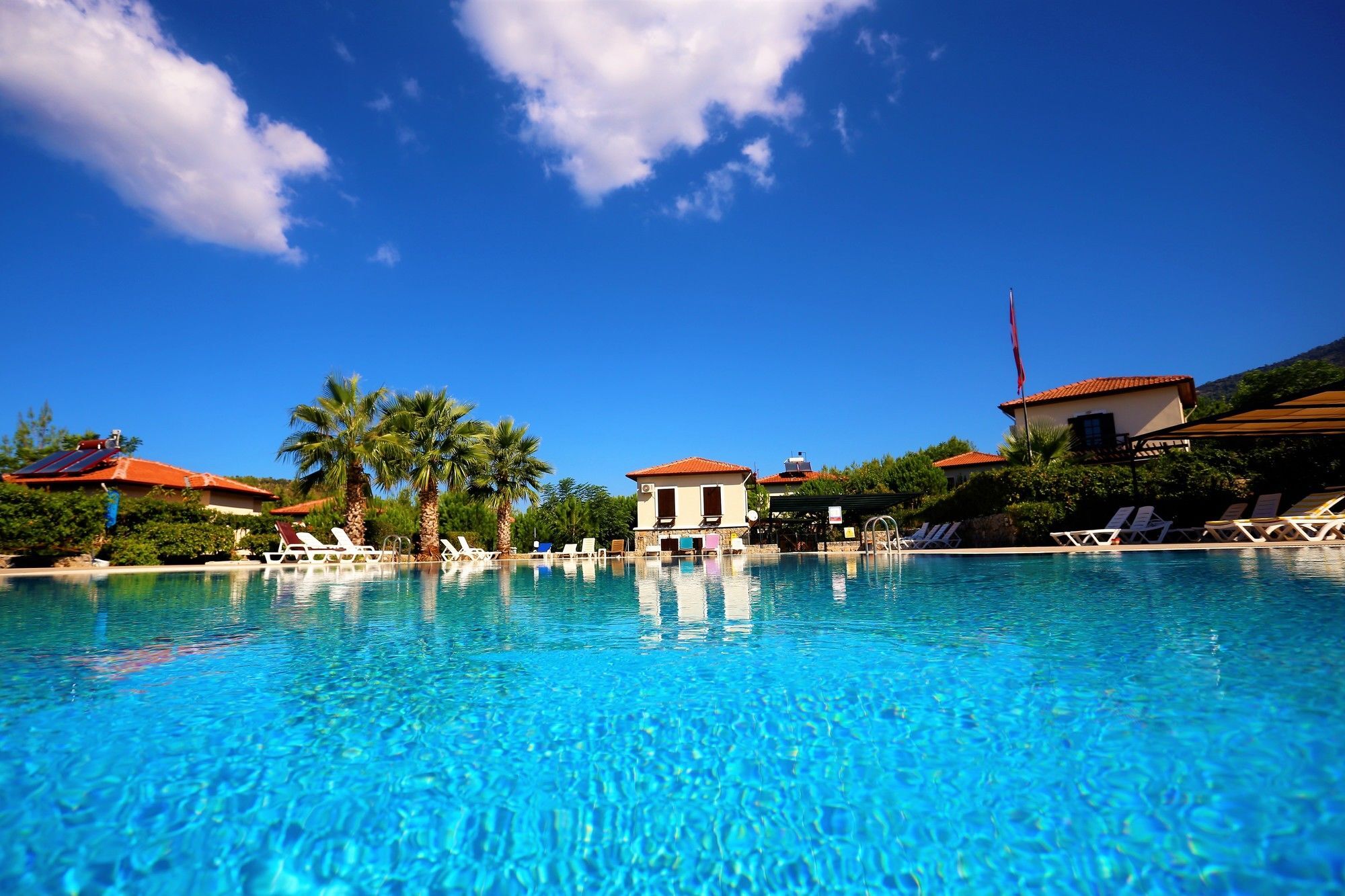 The Village 15 *
