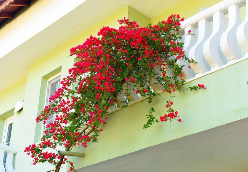 Hotel Turquoise Oludeniz