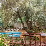 Jade Residence (Adults Only)
