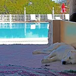 Sultan Motel