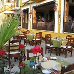 Olive Tree Studio (Adults Only)