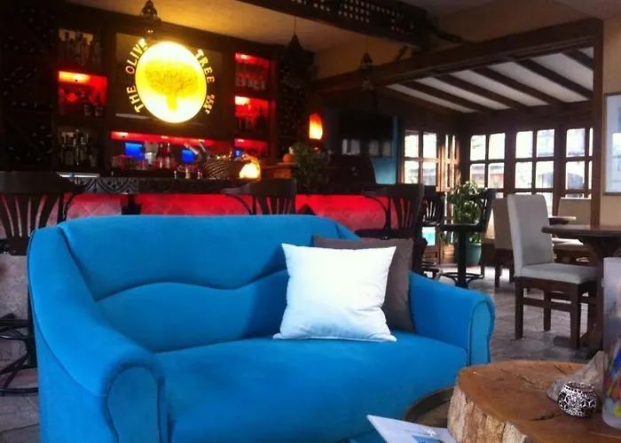 Olive Tree Studio (Adults Only)