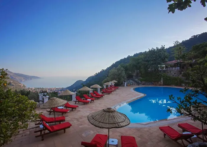 Paradise Garden Hotel