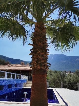 Celay Hotel