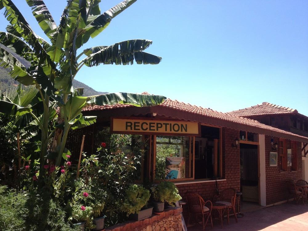 Aygul Otel 3*