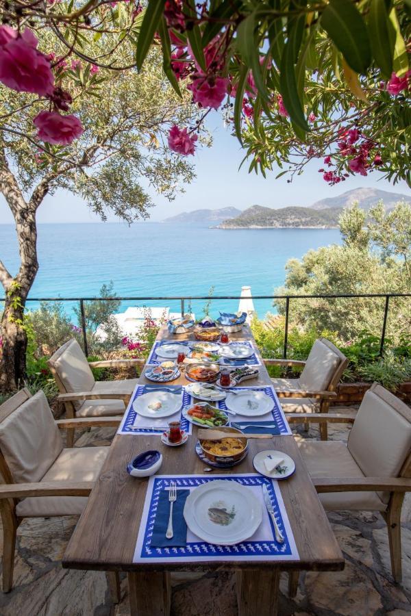 Beyaz Yunus - Adult Only Oludeniz
