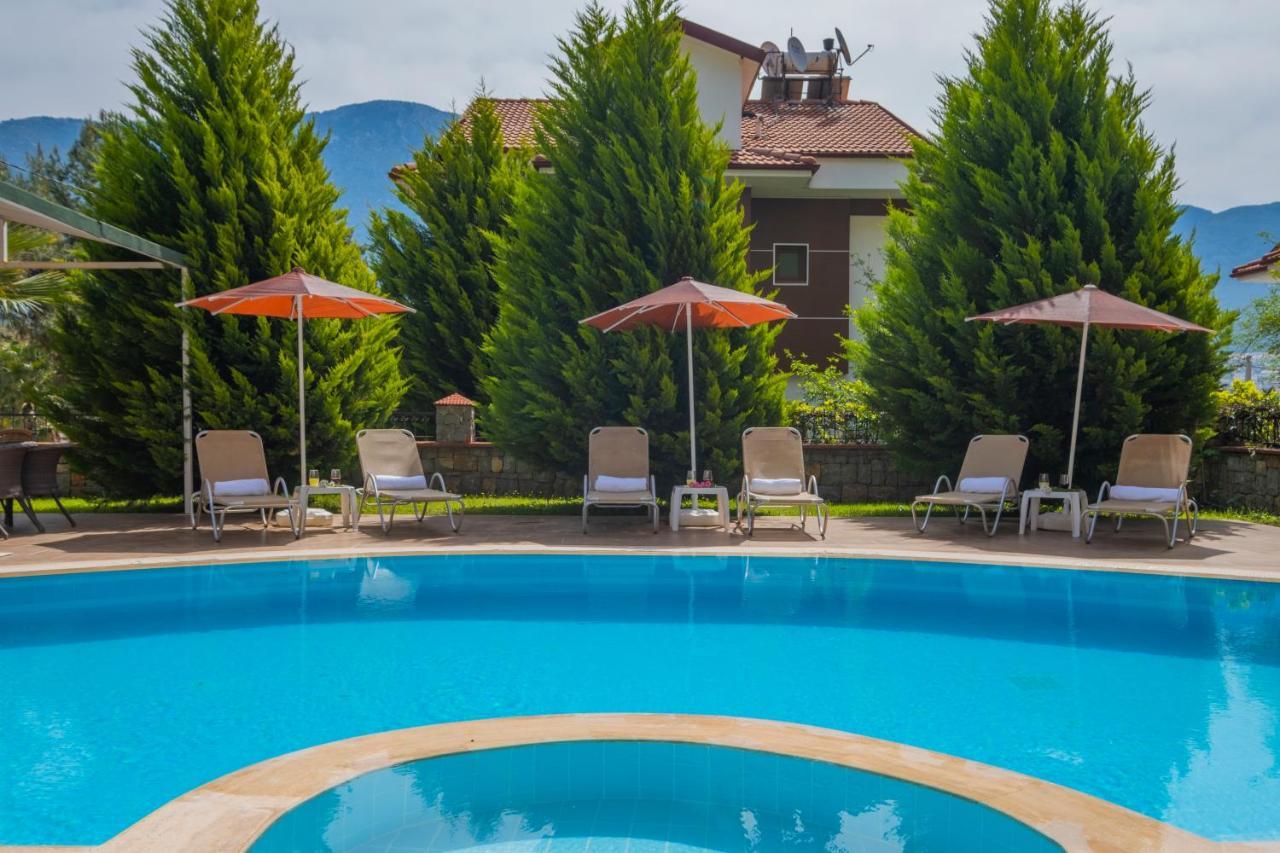Villa Infinity Olympia