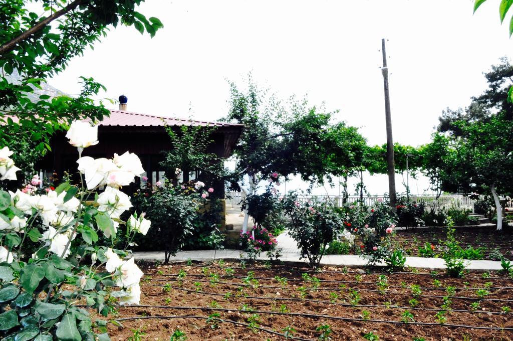 Manzara Hotel 2*