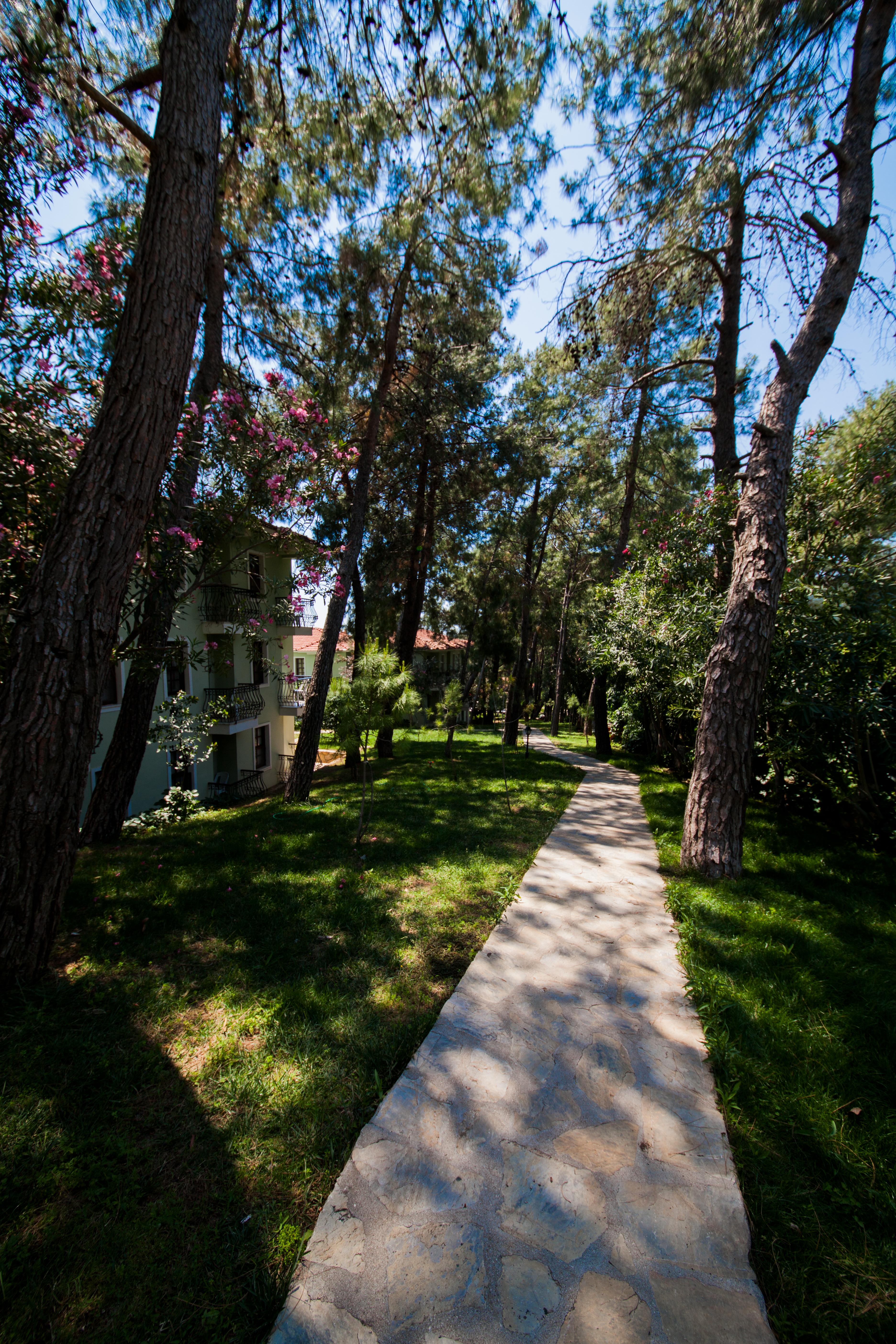 Greenland 4* Ölüdeniz