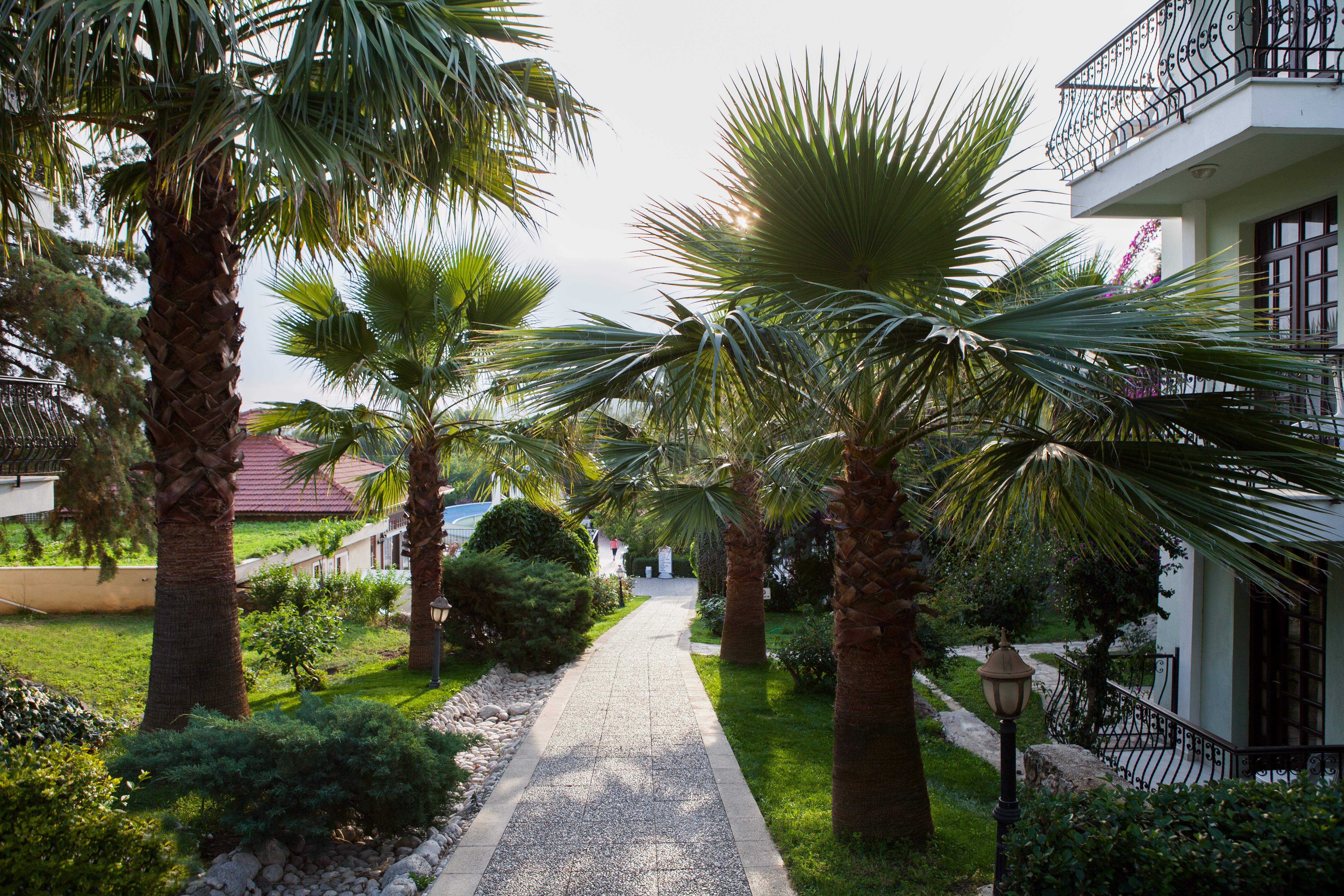 Greenland Otel Ölüdeniz