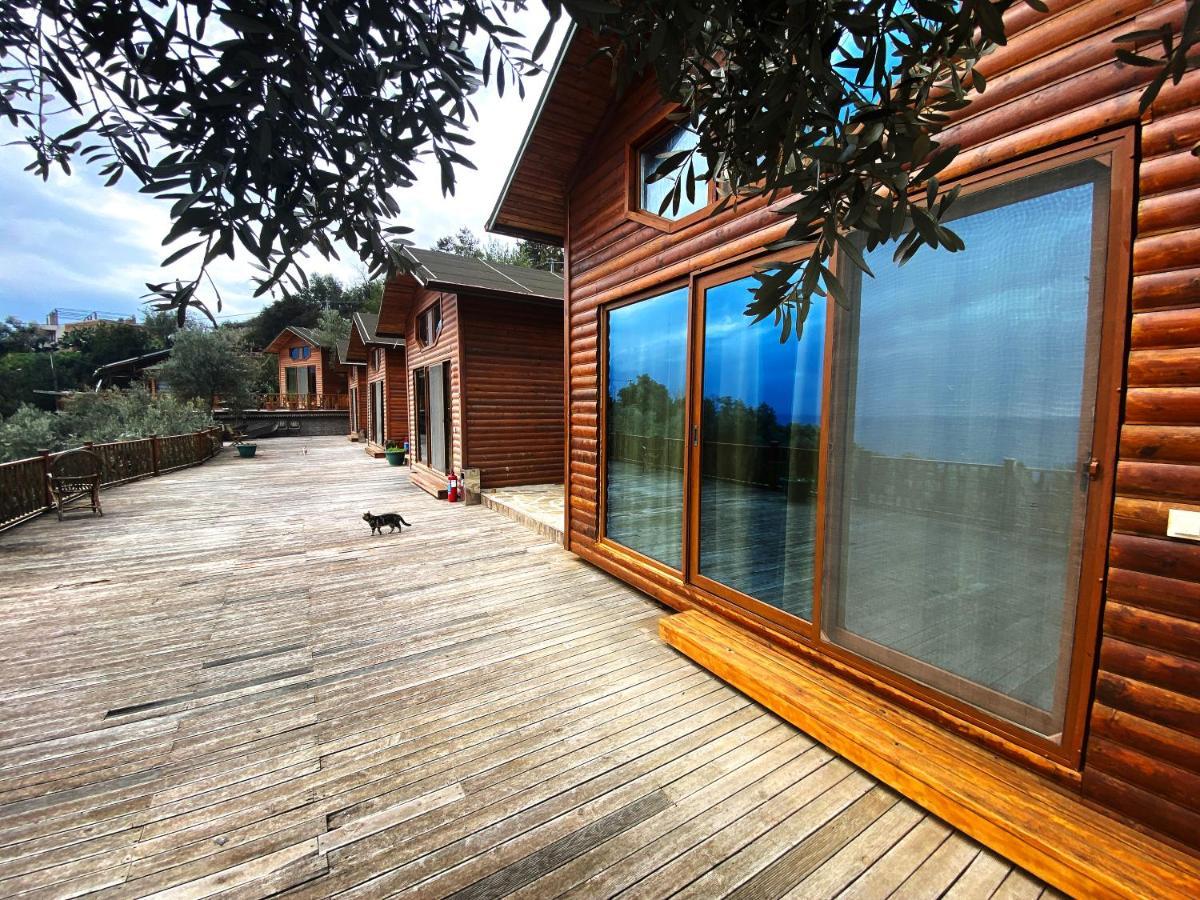 Hotel Kabak Armes