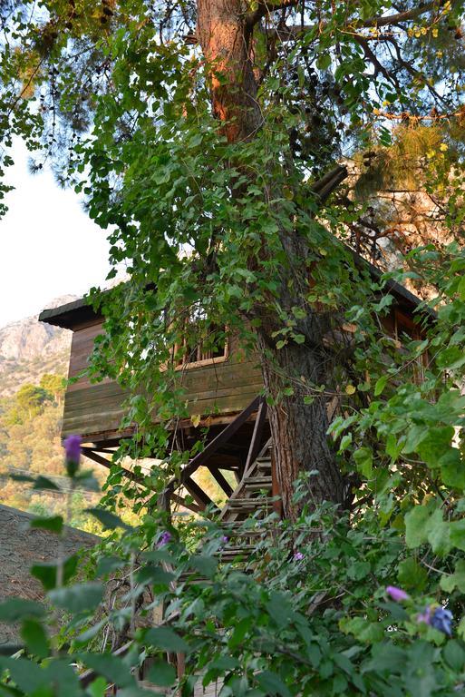 Gorge Club Hotel 4*