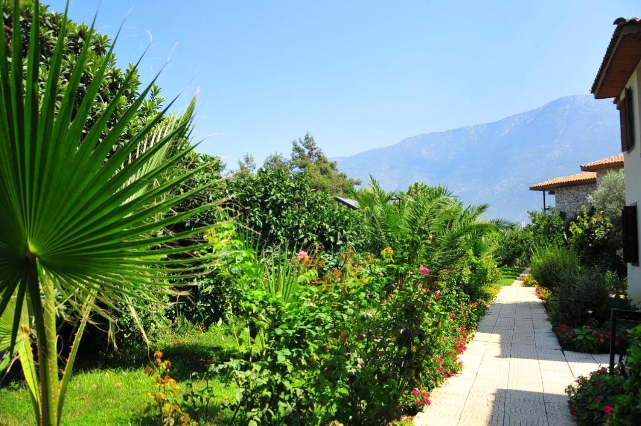 Telmessos Neva 3* Oludeniz