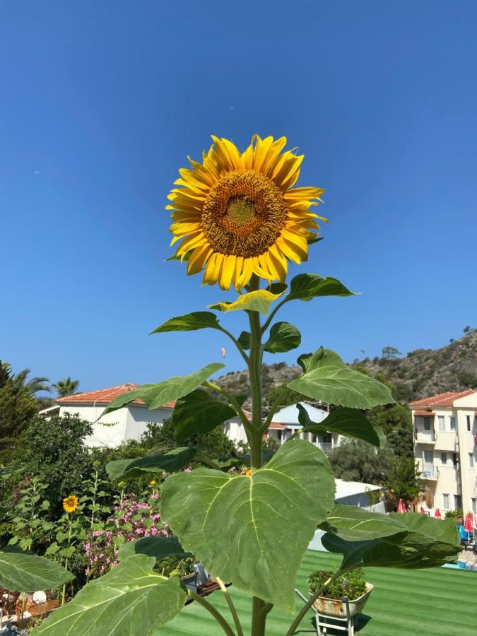 On 2* Oludeniz