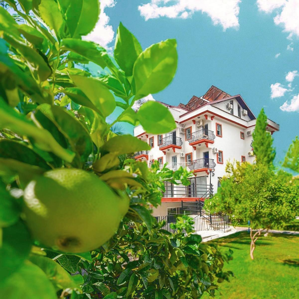 Casa De Levissi Hotel 3*