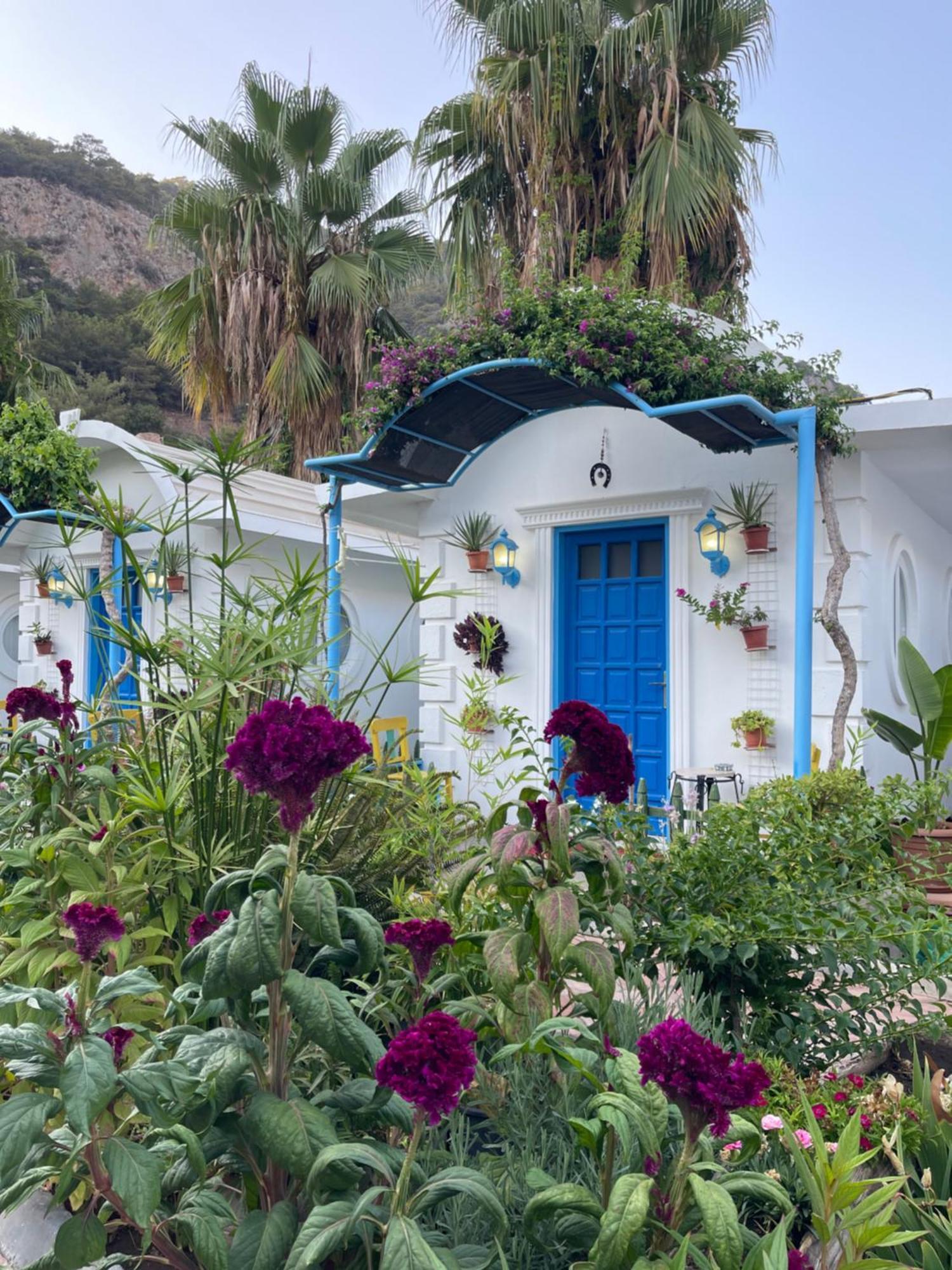 Orman Evi Sunmed Ölüdeniz