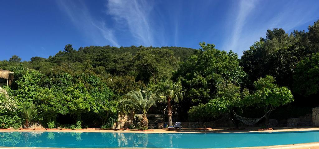 Hotel Paradise Garden 3*