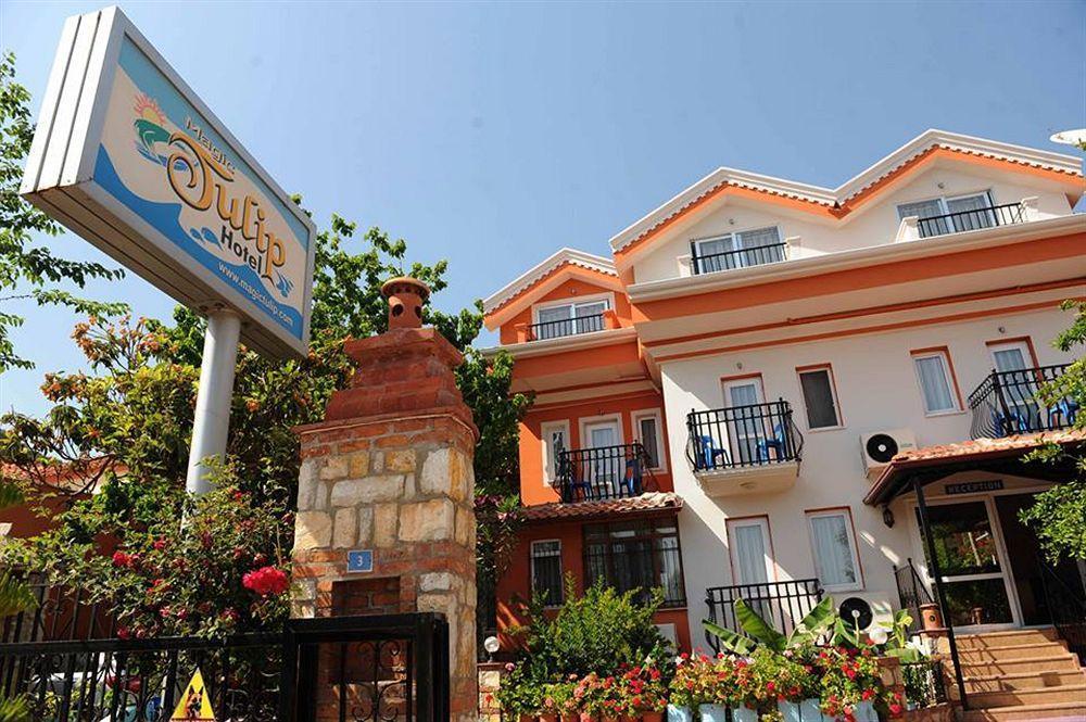 Hotel Magic Tulip
