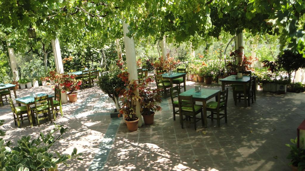 Hotel Manzara