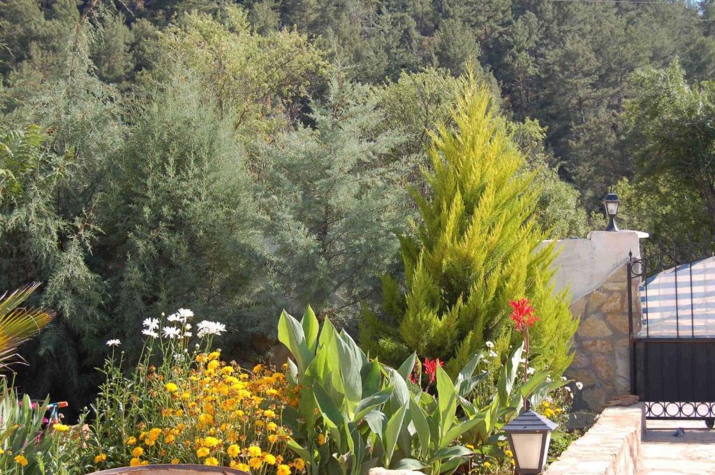 Paradise Garden Holiday home