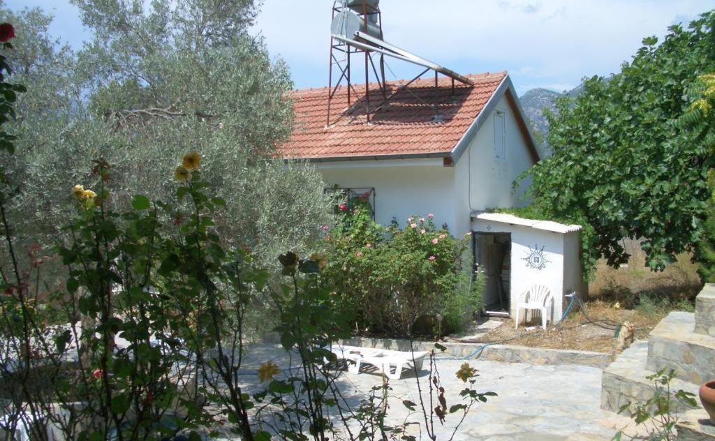 Holiday home Paradise Garden Oludeniz