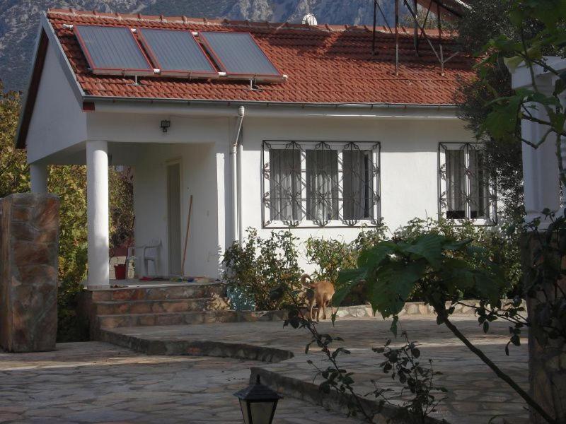 Paradise Garden Holiday home Oludeniz