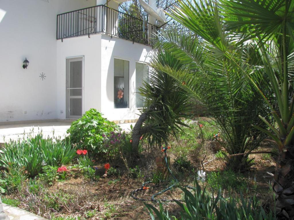 Paradise Garden Oludeniz