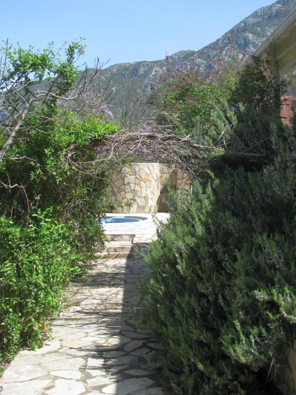 Paradise Garden *