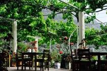 Hotel Manzara Oludeniz
