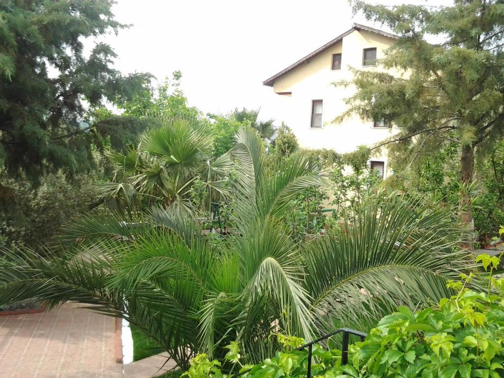Eftelya 3* Oludeniz