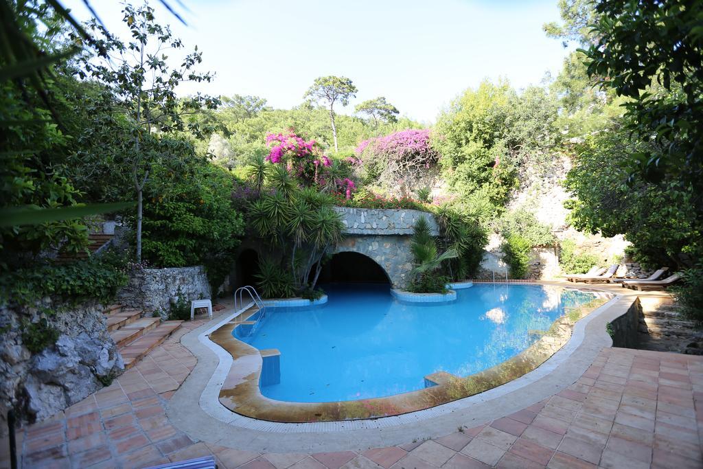Paradise Garden 3*