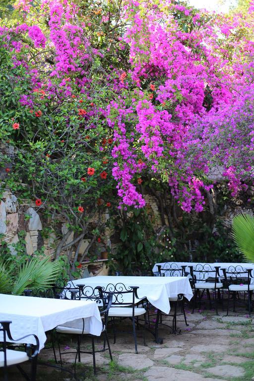 Hotel Paradise Garden Oludeniz