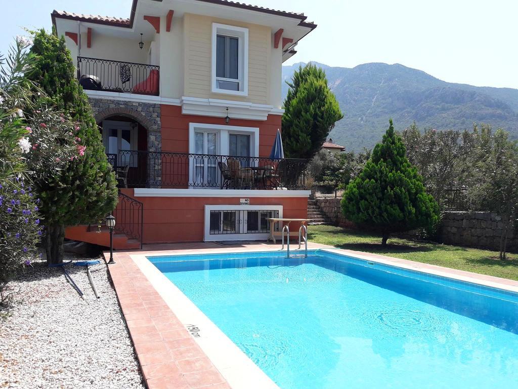 Villa Dolphin Ovacik