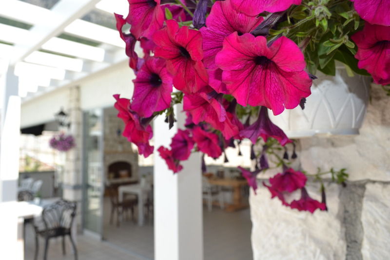 La Boutique Maya Hotel 4*
