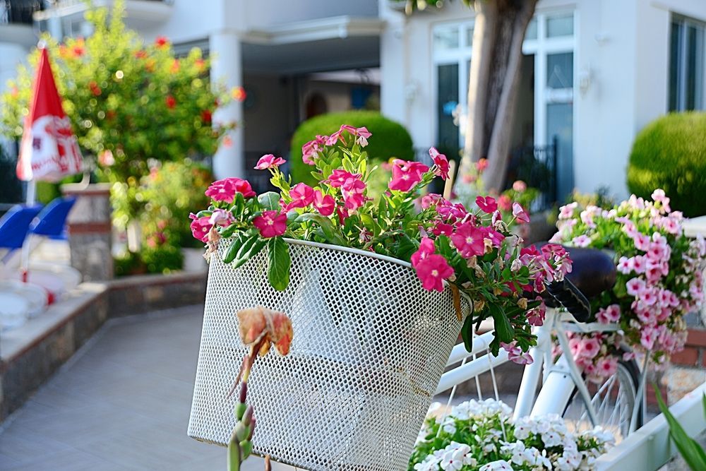 Bed & Breakfast Bronze 3*