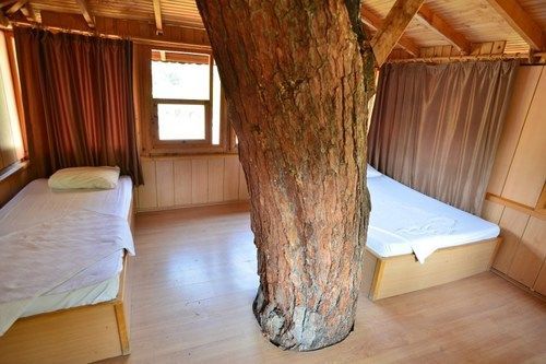 Hotel Gorge Club 4*