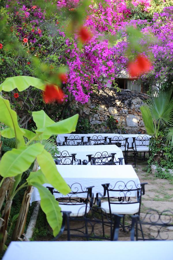 Hotel Paradise Garden 3*