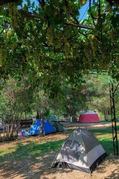 Hotel Gorge Club 4*