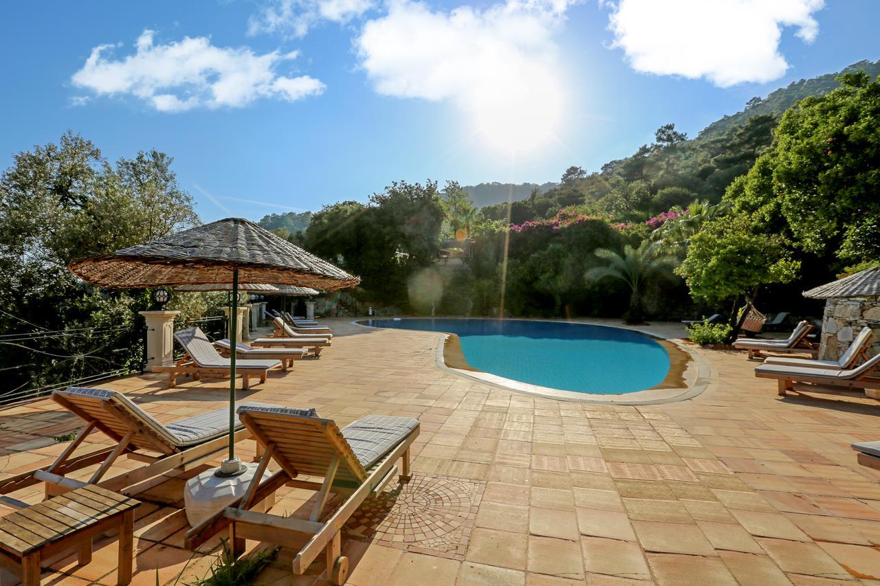 Paradise Garden Hotel 3*